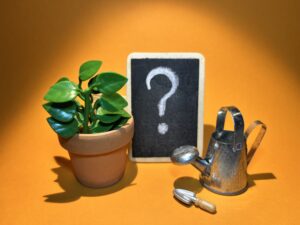 Bij BeeldBegrip worden spel, creativiteit, opstellingen en materialen ingezet om tot een blijvende verandering te komen.